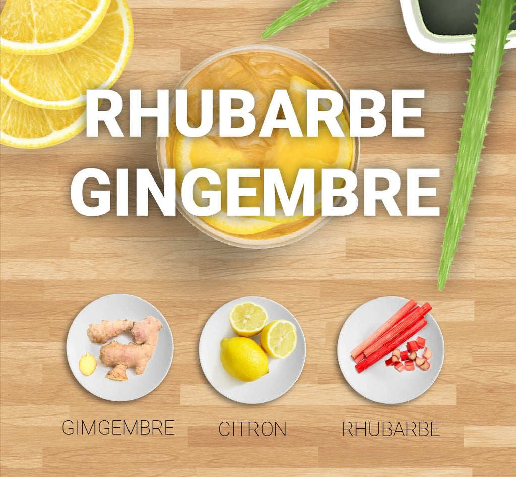 La recette Kombucha Rhubarbe Gingembre